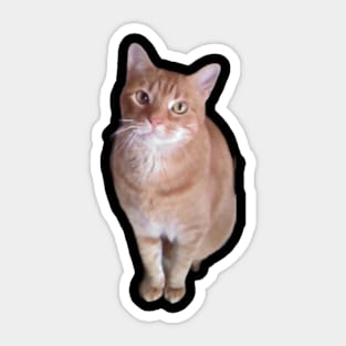 Orange Tabby Cat Sticker